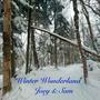 Winter Wonderland (feat. Sam Garcia)