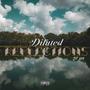 Diluted Reflections (Explicit)