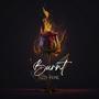 Burnt (feat. Ekoh & Munn)