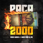 Paca 2000