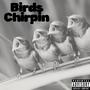 Birds chirpin (Explicit)