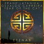 Year Of The Cat (Radio Edit)