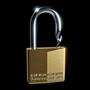 locked in (Explicit)