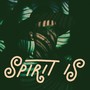 Spirit Is