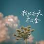 我恨苍天不成全 (DJ版)