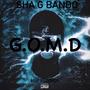 GOMD (Explicit)