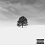 Snowfall (Explicit)