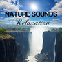 Nature Sounds Relaxation