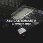 INST DJ LYLA AKU GAK ROMANTIS