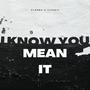 I Know You Mean It (feat. Zipanix) [Explicit]