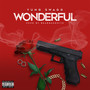 Wonderful (Explicit)