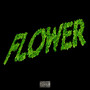 FLOWER (Explicit)