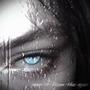 seen it from the eyes (Explicit)
