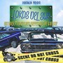 Lokos del Sur (feat. Mr Yosie, Kartel Purepecha, Rulz One & Daser)