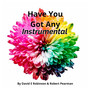 Have You Got Any (Instrumental Version)