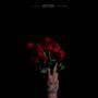 A Dozen Roses (Explicit)