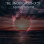 THE UNDERGROUND OF