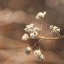 While Centering