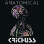 Anatomical