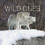 Wild Ones