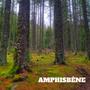 AMPHISBÈNE (Explicit)