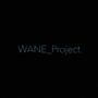 WANE_Project.