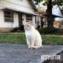 Kitty Litter (Explicit)