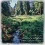 Tiny Brook in Paimio Sanatorium Forest