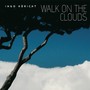 Walk On The Clouds