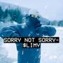 Sorry Not Sorry (Explicit)