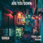 Are You Down (Explicit)