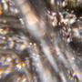 Iridescence