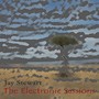 The Electronic Sessions