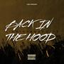 Back in the Hood (feat. Badoolee) [Explicit]