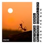 Face The Sun