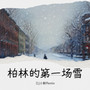 柏林的第一场雪