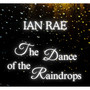 The Dance of the Raindrops