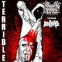 Terrible (feat. VERMINATE)