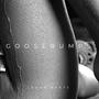 Goosebumps