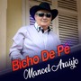 Bicho de Pé