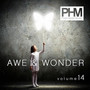 Awe and Wonder, Vol. 14