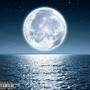 Moonlight. (Explicit)