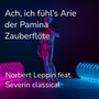 Ach, ich fühl's Arie der Pamina Zauberflöte