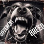 Different Breed (Explicit)