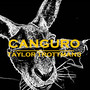 Canguro