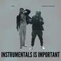 instrumentals is important