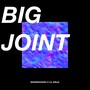 Big Joint