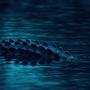 Crocodile Skin (Explicit)
