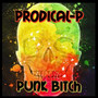 Punk ***** (Explicit)