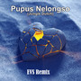 Pupus Nelongso (Jungle Dutch) (Remix)